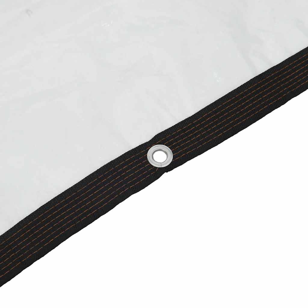 Telone Trasparente con Occhielli 2x6 m in Polietilene