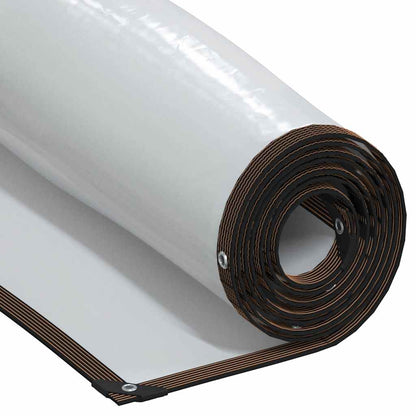 Telone Trasparente con Occhielli 2x12 m in Polietilene