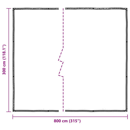 Telone Trasparente con Occhielli 3x8 m in Polietilene