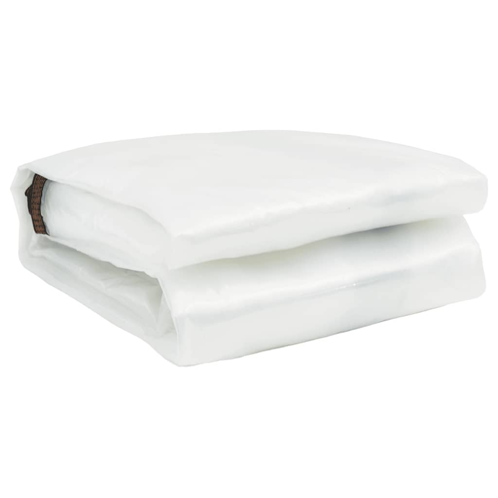 Telone Trasparente con Occhielli 6x10 m in Polietilene