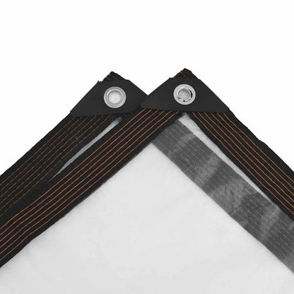 Telone Trasparente con Occhielli 6x10 m in Polietilene