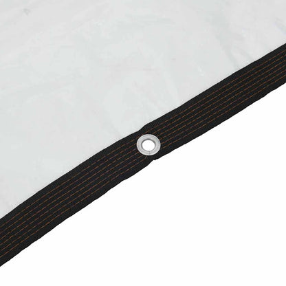 Telone Trasparente con Occhielli 8x10 m in Polietilene