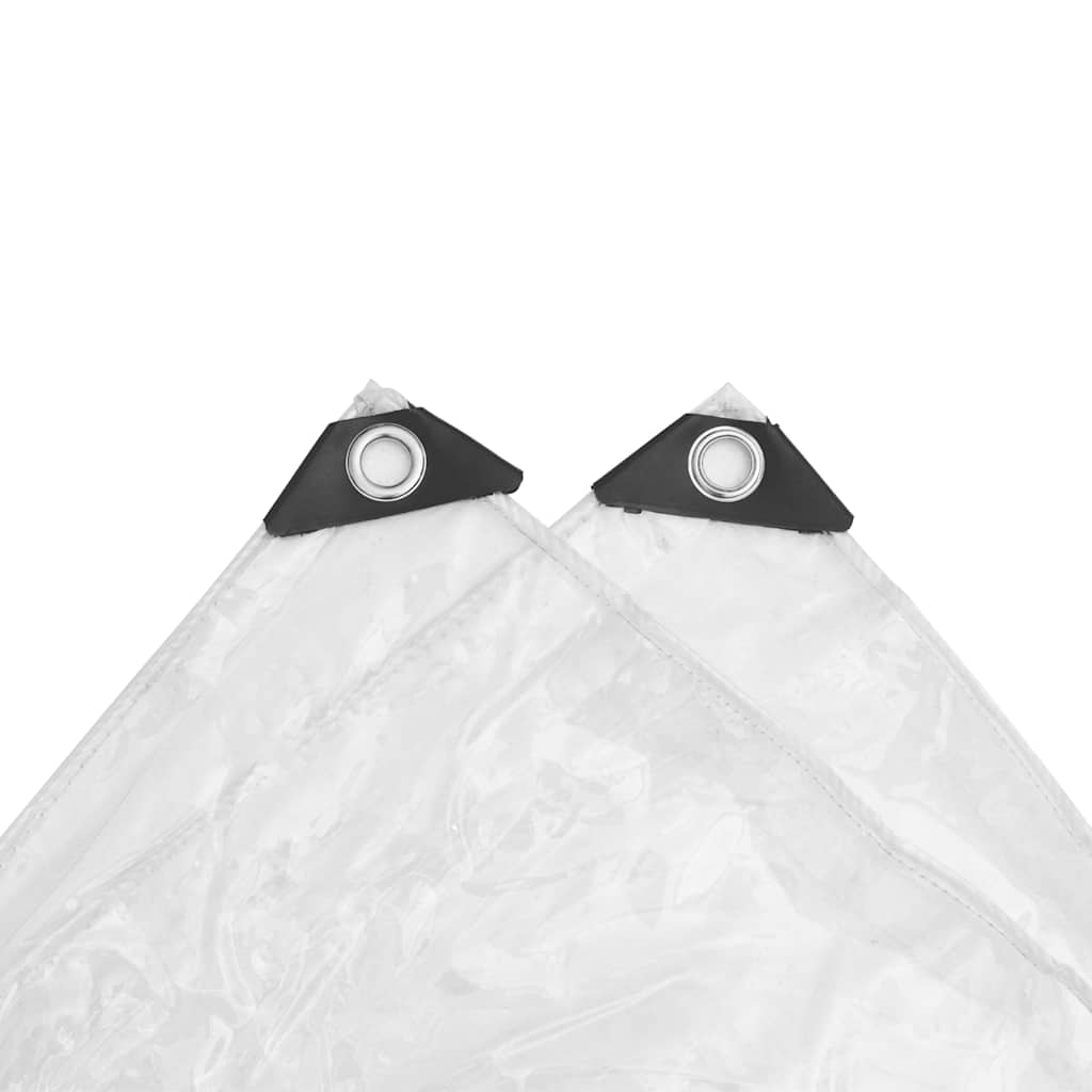 Telone Trasparente con Occhielli 1x12 m in PVC