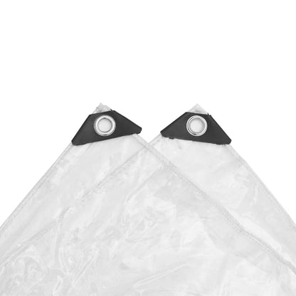 Telone Trasparente con Occhielli 1x12 m in PVC