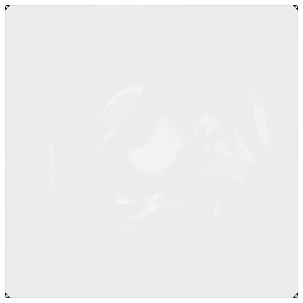 Telone trasparente con occhielli 2x2 m PVC | homemem39