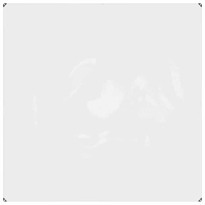 Telone trasparente con occhielli 2x2 m PVC | homemem39