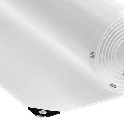 Telone trasparente con occhielli 2x2 m PVC
