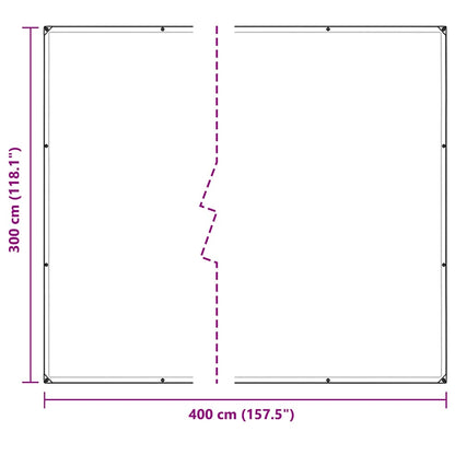 Telone trasparente con occhielli 3x4 m PVC | homemem39