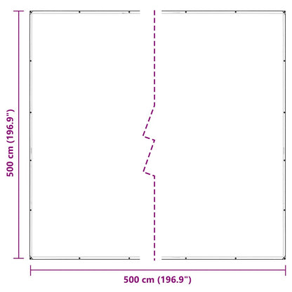Telone Trasparente con Occhielli 5x5 m in PVC | homemem39