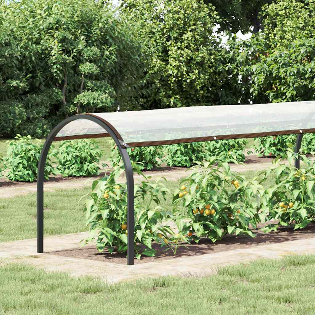Copertura per Piante con Occhielli 1x8 m in Polietilene | homemem39