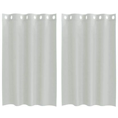 Tende in Voile con Occhielli 2 pz