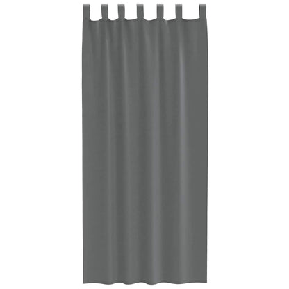 Tende in Voile con Passanti 2 pz Grigio Scuro 140x225 cm
