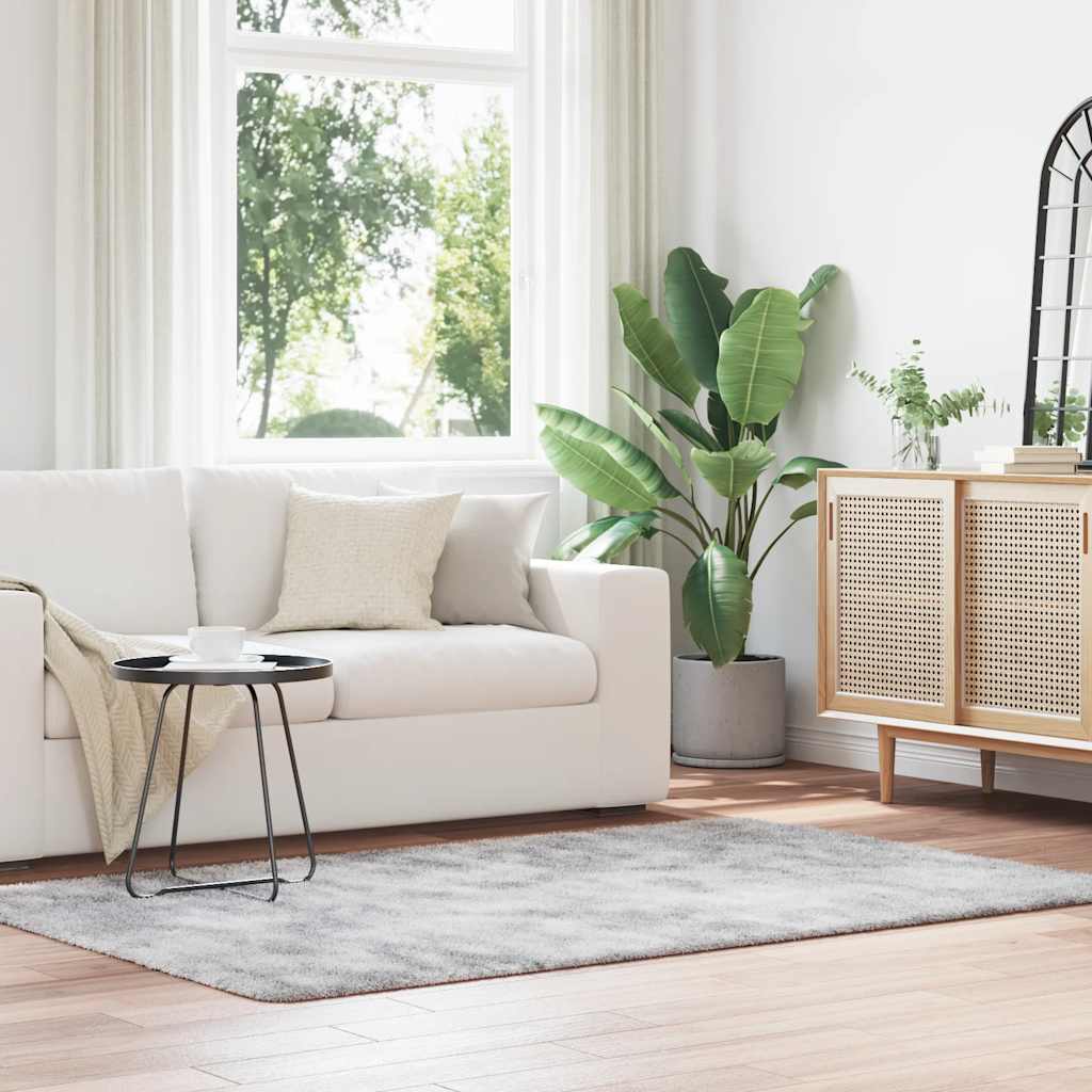 Tappeto Shaggy a Pelo Lungo NAVARRA Grigio Argento 130x200cm - homemem39