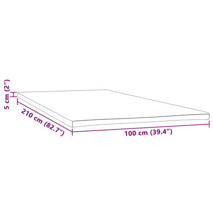 Coprimaterasso 100x210x5 cm