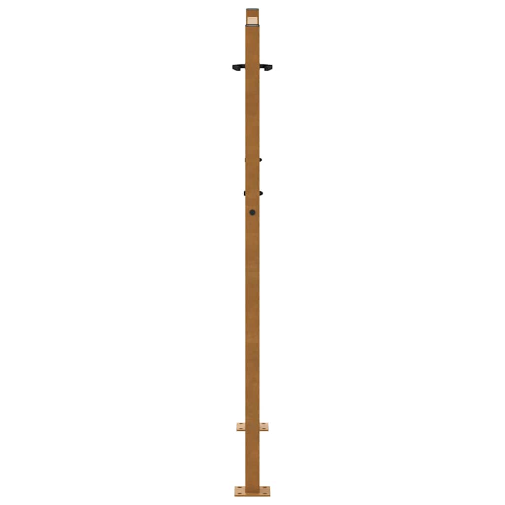 Cancello da giardino 100x125 cm in acciaio corten con design a traccia | homemem39
