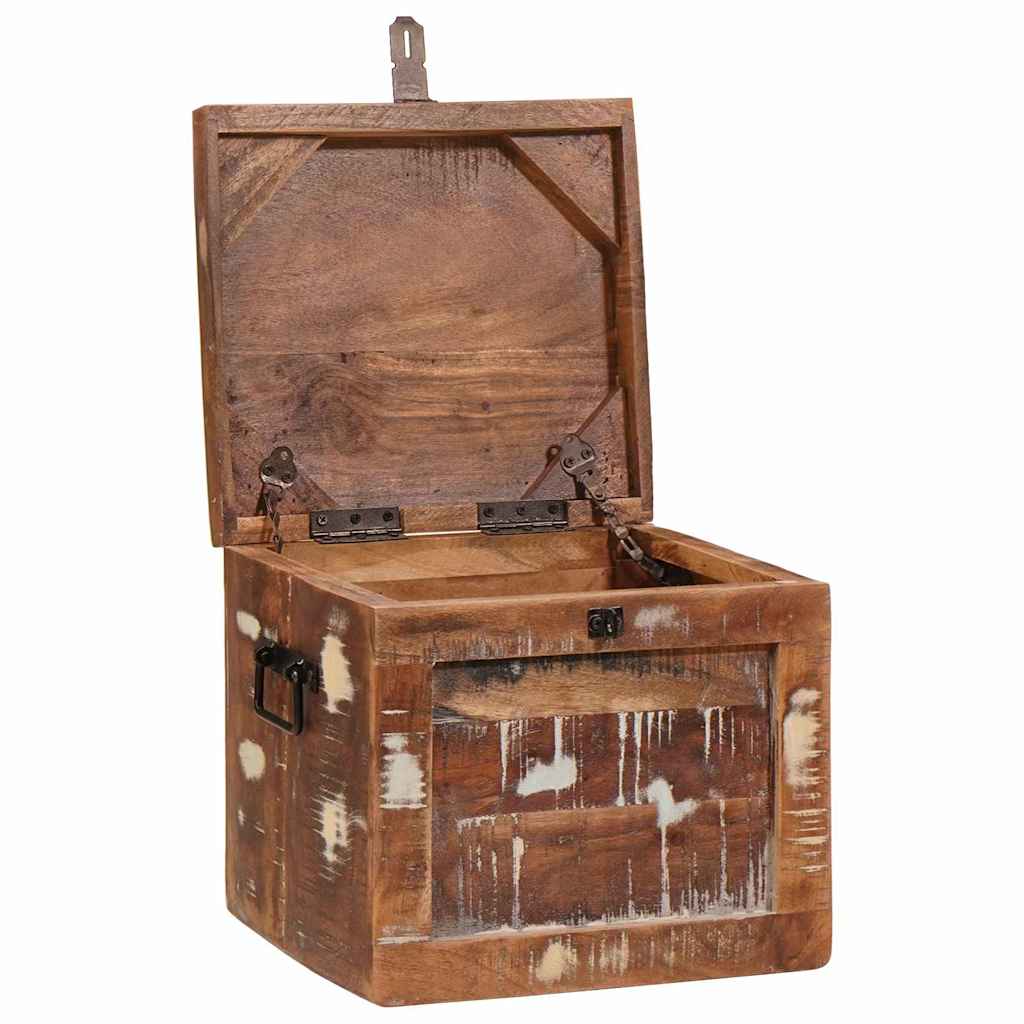 Scatola di Stoccaggio con porta Marrone Legno di mango massello