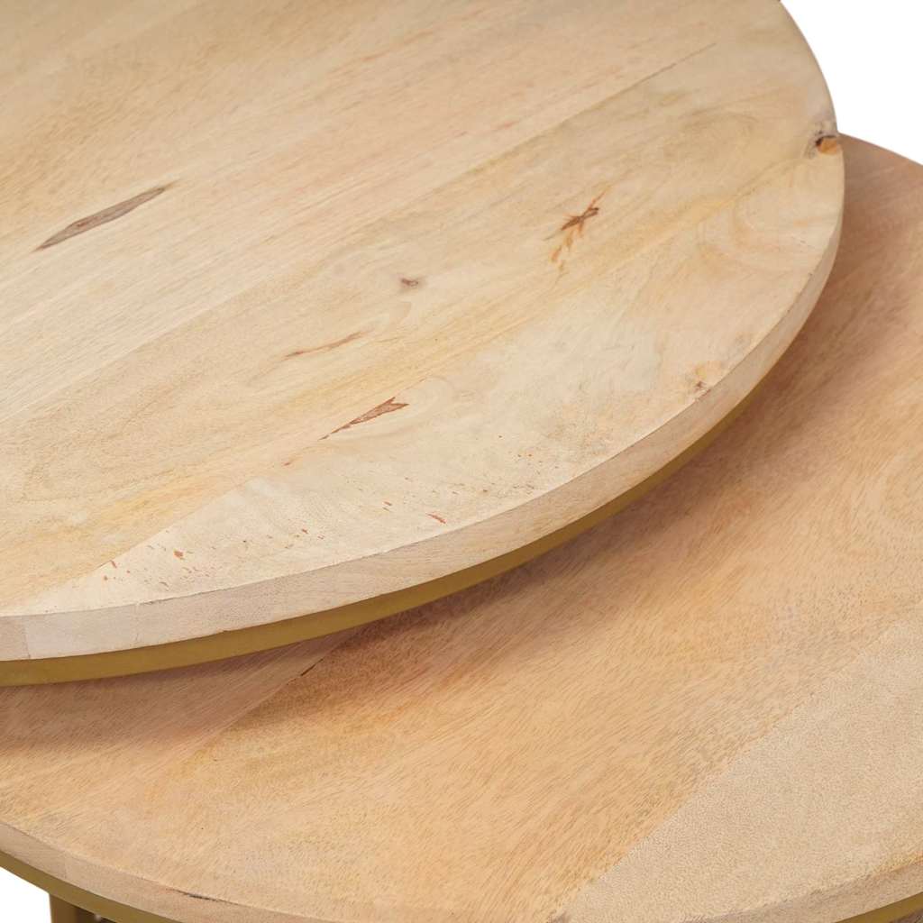Tavoli da Caffè Nido 2 pcs Legno massello di mango e acciaio | homemem39