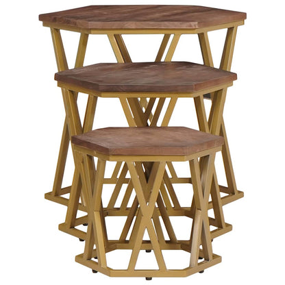 Tavolini da salotto Marrone 55 x 55 x 50 cm | homemem39
