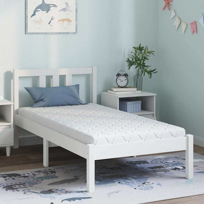 Materasso con Strato di Cocco Bianco 160 x 80 cm Schiuma PU - homemem39