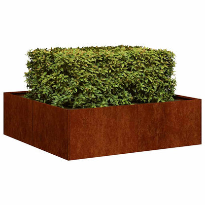 Fioriera Arrugginita 100x100x30 cm in Acciaio Corten