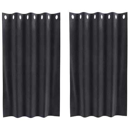 Tende oscuranti 2 pcs Grigio scuro 140 x 140 cm Velluto