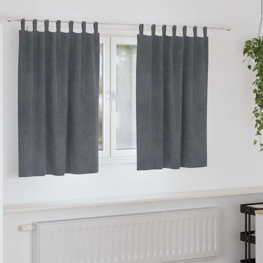 Tende oscuranti 2 pz Grigio chiaro 140 x 140 cm Velluto | homemem39