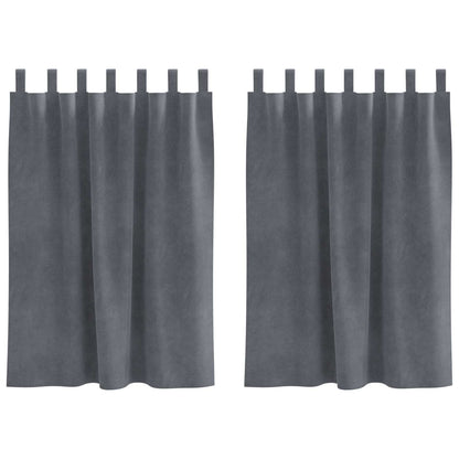 Tende oscuranti 2 pz Grigio chiaro 140 x 140 cm Velluto | homemem39