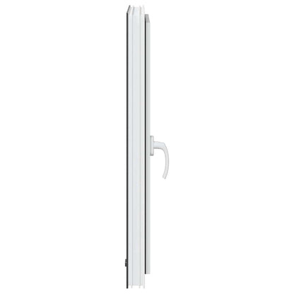 Finestra da cantina "RISOR" 60x100 cm Anta-ribalta DIN Destra Antracite - homemem39