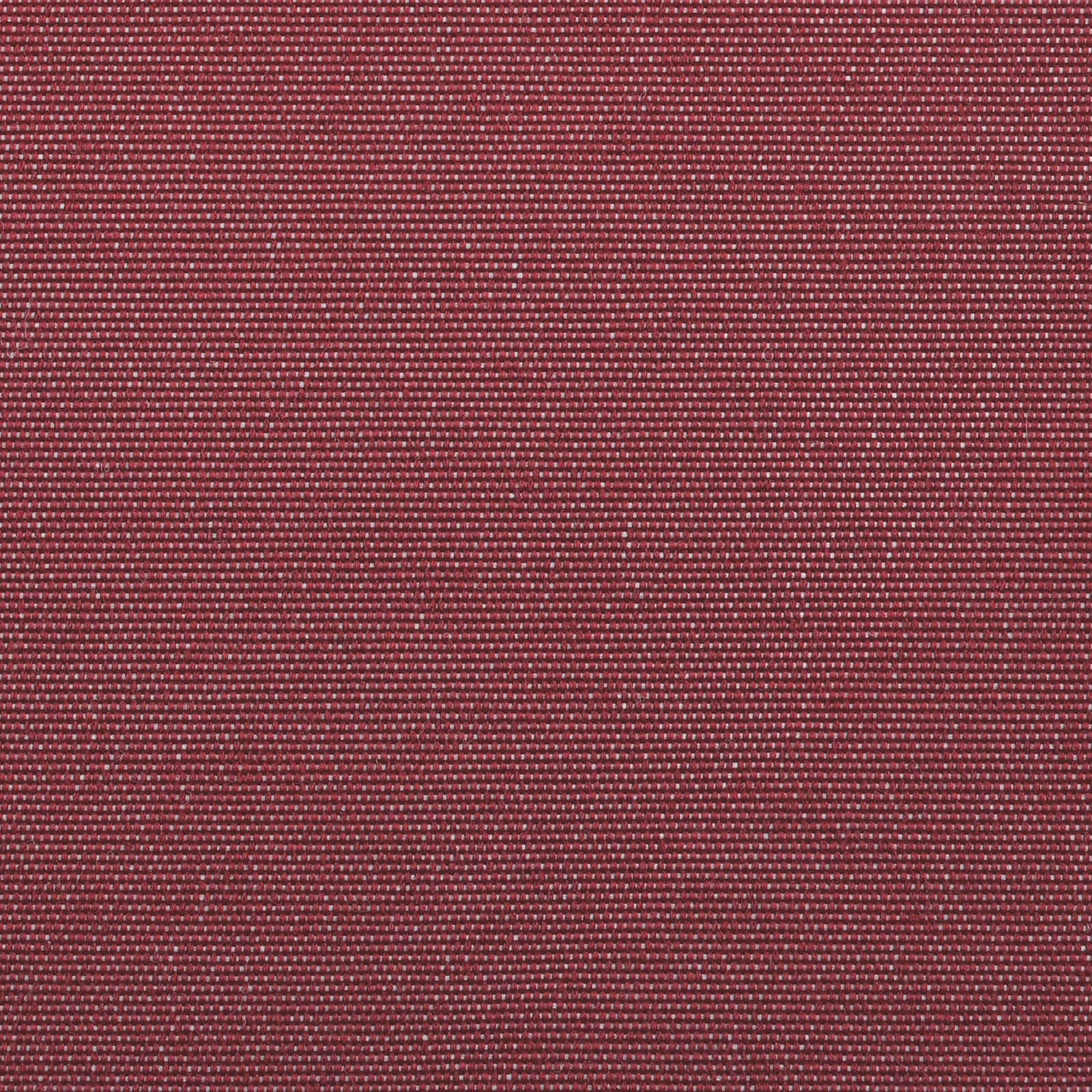 Struttura della tenda Borgogna 450 × 300 cm | homemem39