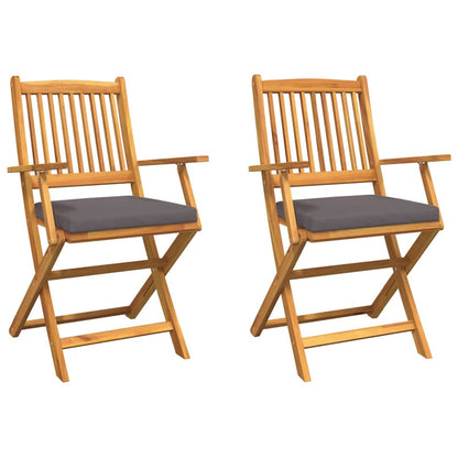Sedia pieghevole con cuscino 2 pcs Grigio 49 x 57.5 x 92cm - homemem39
