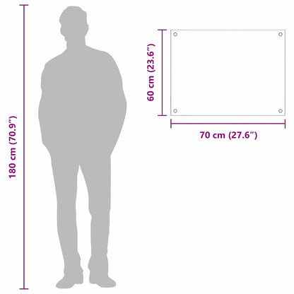 Rivestimento da Cucina Grigio chiaro 70 x 60 cm vetro temperato