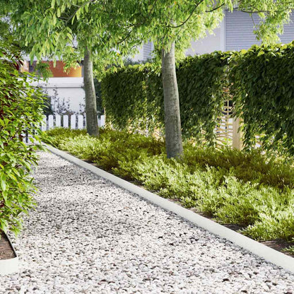 Bordura per Prato 50 pcs Bianco 100 x 0.05 x 20 cm