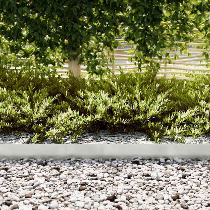 Bordura per Prato 30 pcs Argento 100 x 0.05 x 20 cm