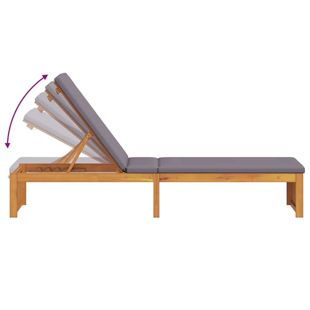 Lettino da sole con cuscino Marrone 55 x 200 x 94cm