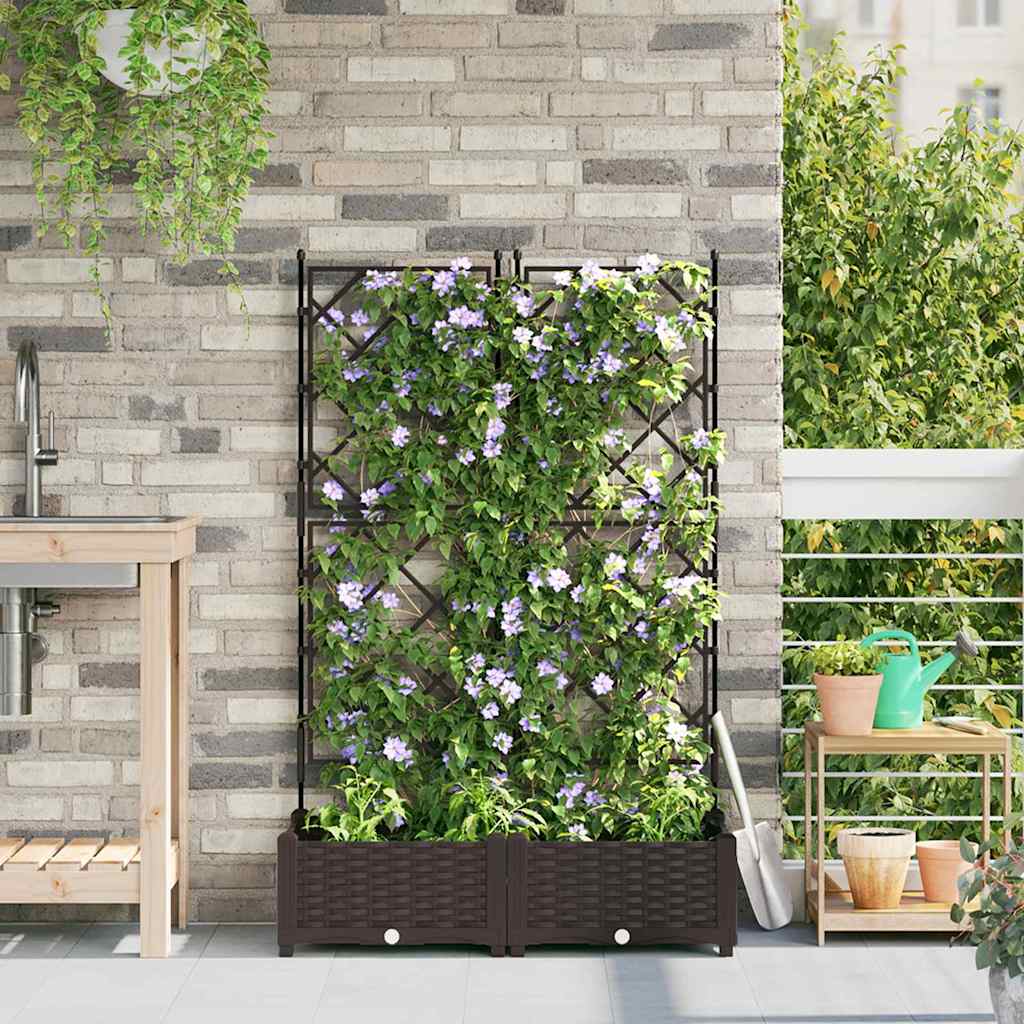 Vaso da Giardino con Trellis 2 pcs Marrone 80 x 40 x 125.5 cm - homemem39