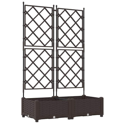 Vaso da Giardino con Trellis 2 pcs Marrone 80 x 40 x 125.5 cm - homemem39