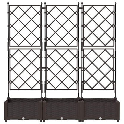Vaso da Giardino con Trellis 3 pcs Marrone 120 x 40 x 125.5 cm - homemem39