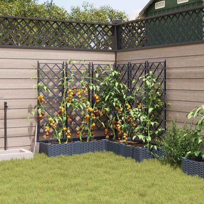 Vaso da giardino 5 pcs Grigio 120 x 120 x 125,5 cm Plastica | homemem39