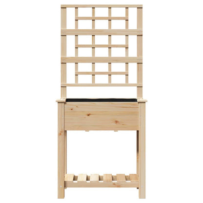 Vaso da giardino Beige 71 x 38 x 152 cm Legno di Abete Massello