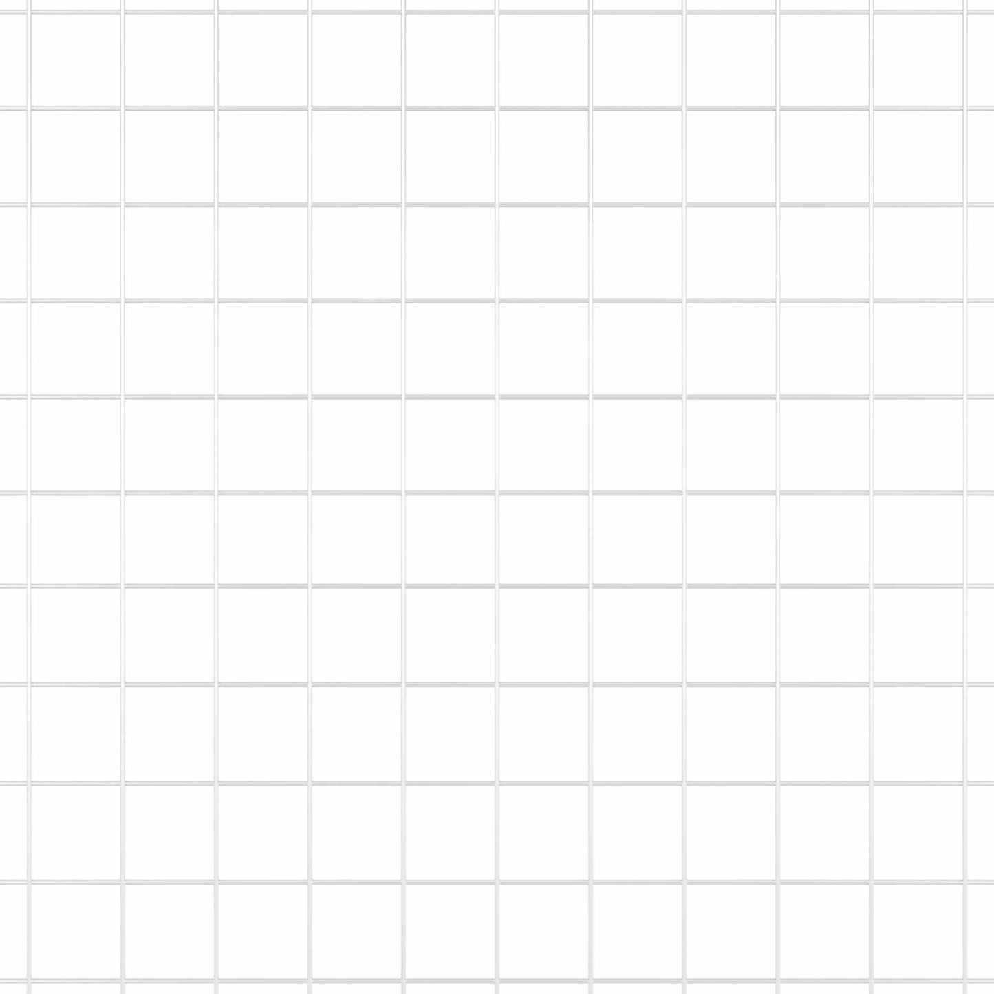 Recinzione in Rete Saldato Argento 0.8 x 25 m