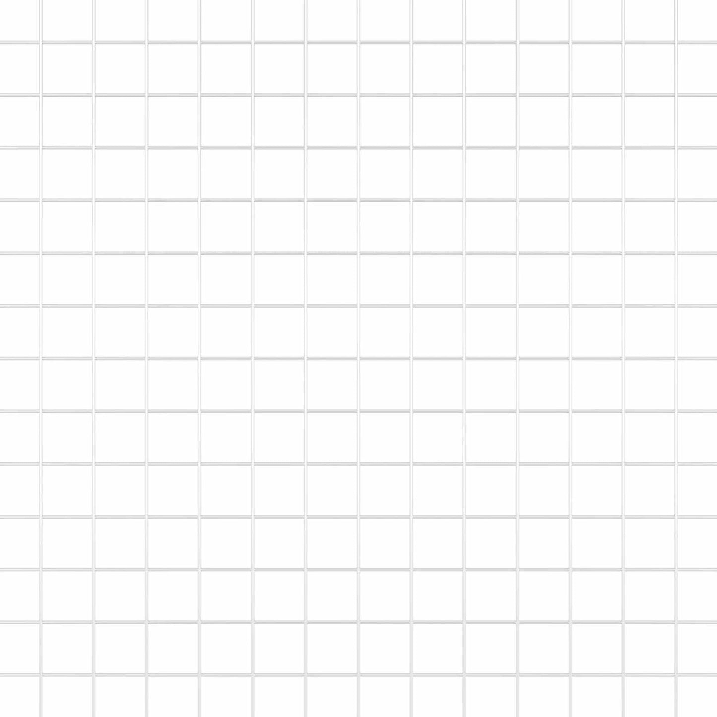 Recinzione in Rete Saldato Argento 1.2 x 25 m