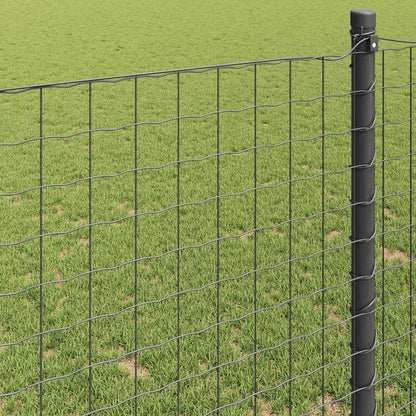 Recinzione Euro Grigio 1,6 x 10 m Ferro rivestito in PVC | homemem39