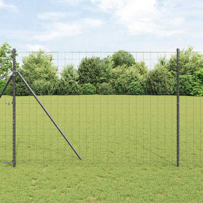 Recinzione Euro Grigio 1,6 x 10 m Ferro rivestito in PVC