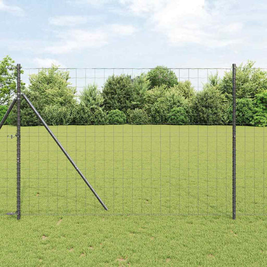 Recinzione Euro Grigio 1,6 x 10 m Ferro rivestito in PVC