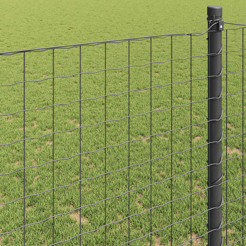 Recinzione Euro Grigio 1 x 25 m Ferro rivestito in PVC | homemem39