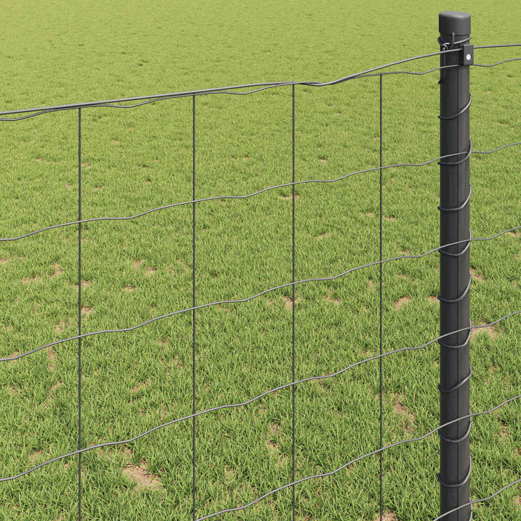 Recinzione Euro Grigio 0,6 x 25 m Ferro rivestito in PVC | homemem39