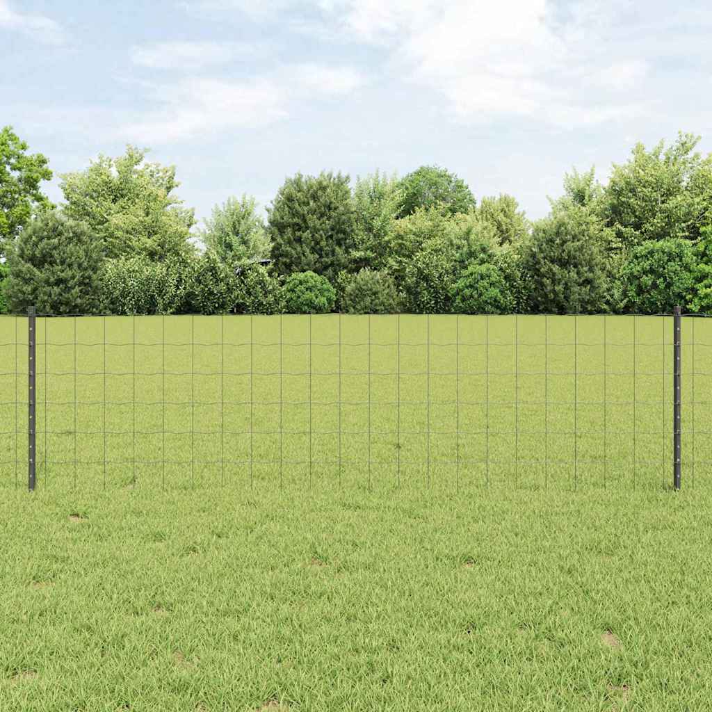 Recinzione euro da esterno con palo 50 x 0,6 m Grigio Rete