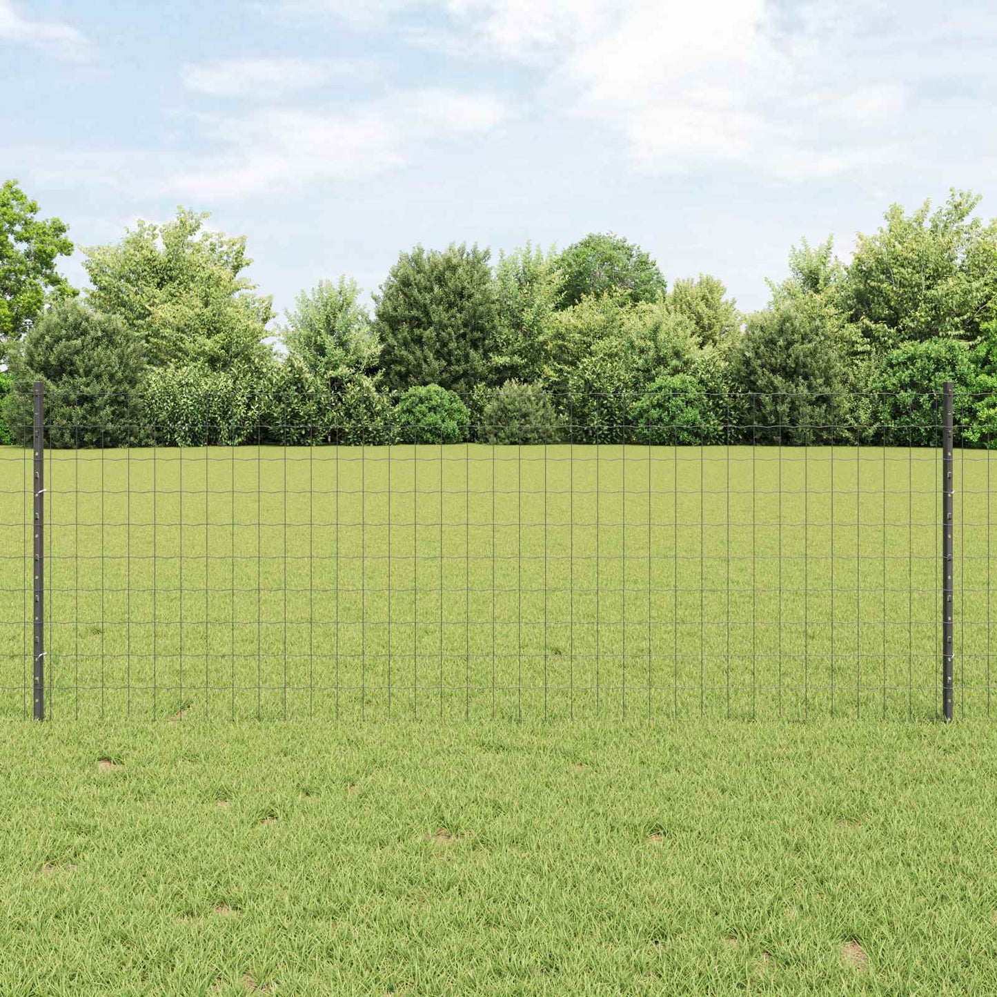 Recinzione in Rete Saldato 10 x 0,8 m (L x H)
