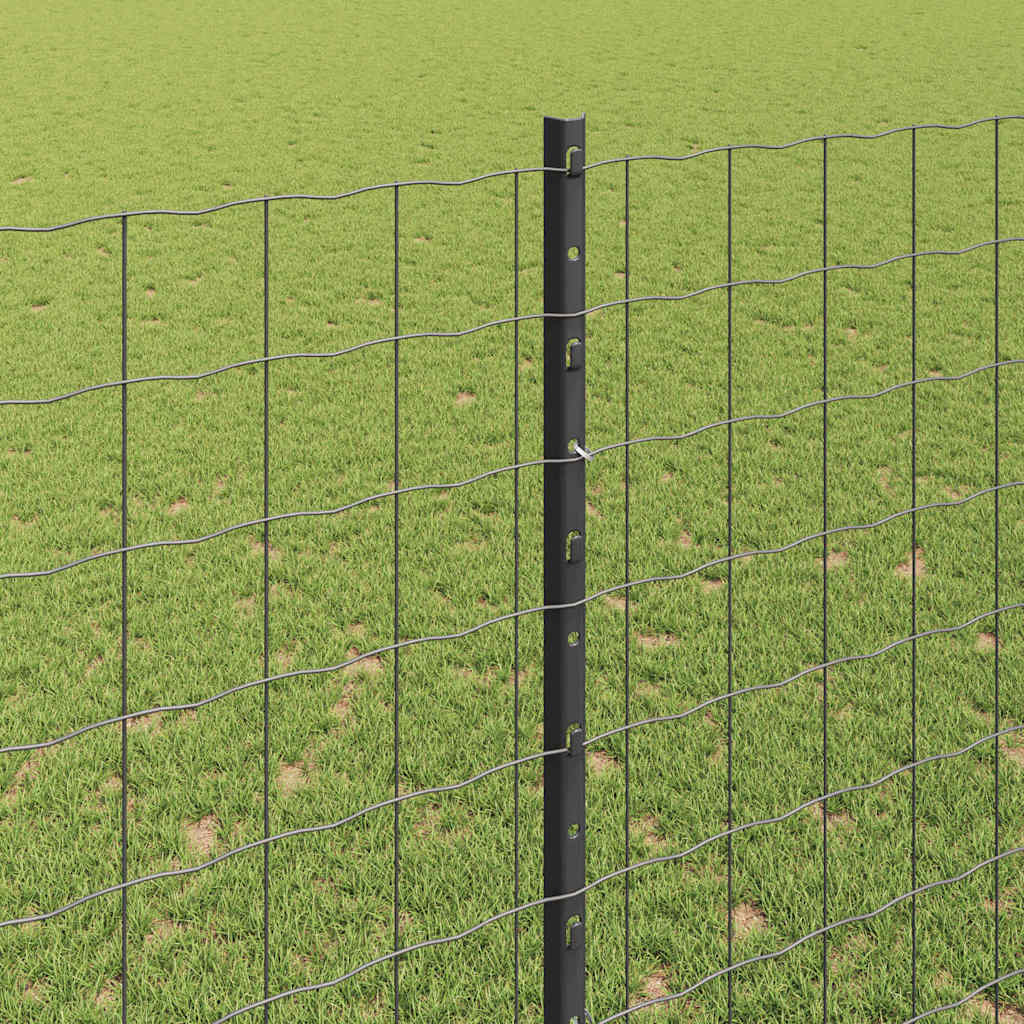 Recinzione con Posto Grigio | homemem39