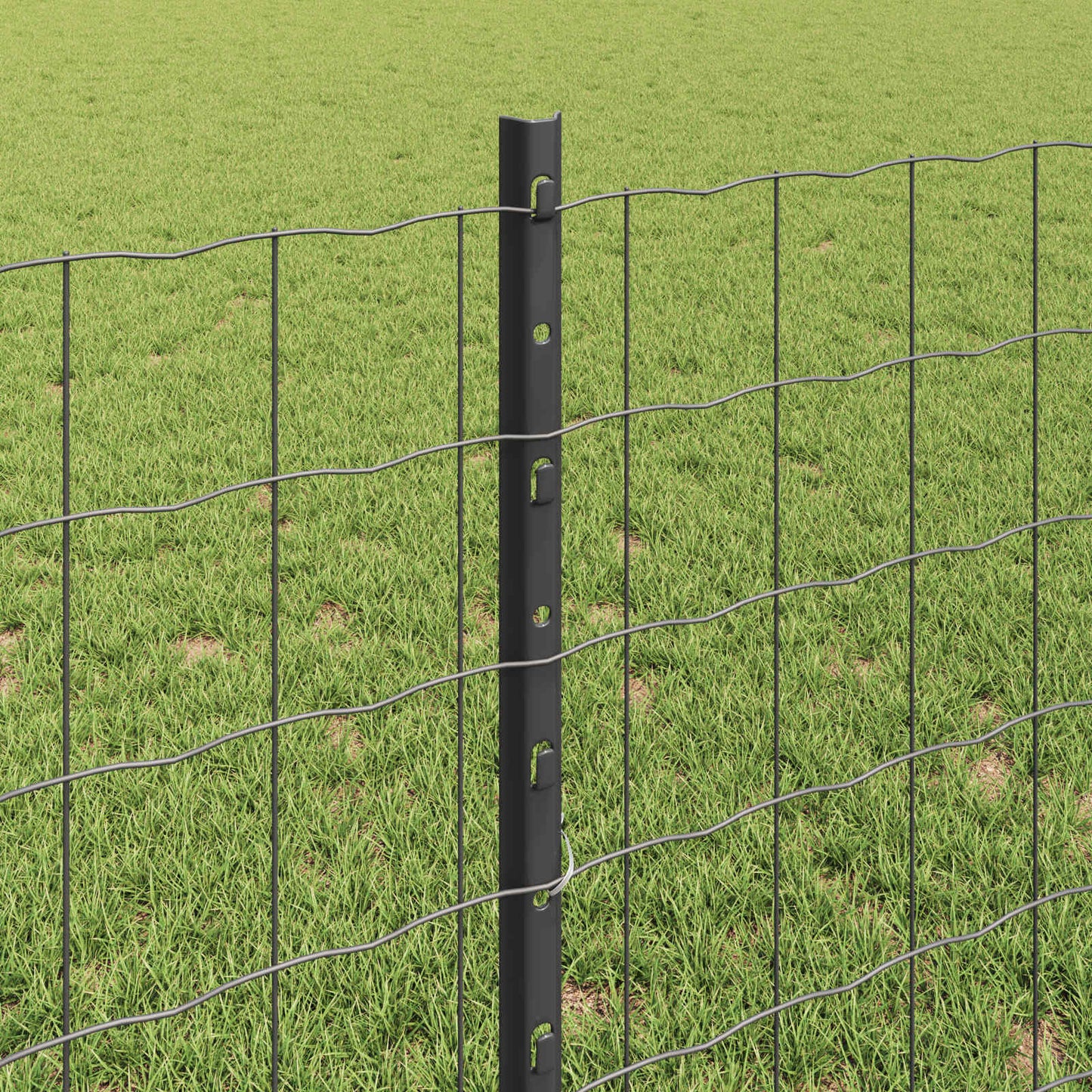 Recinzione in Rete Saldato 25 x 0,8 m (L x H)
